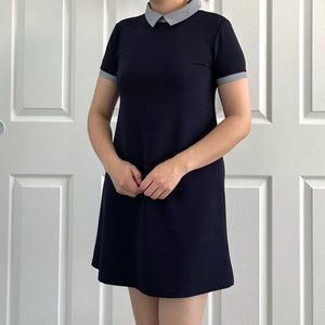 Zara Collar Mini Dress